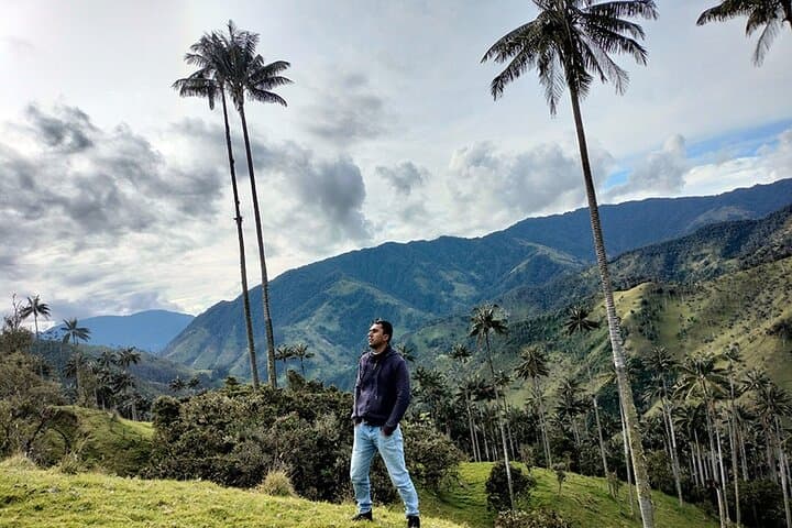 La Carbonera Wax Palm Sanctuary: Salento’s High-Andean Forest Tour photo 3