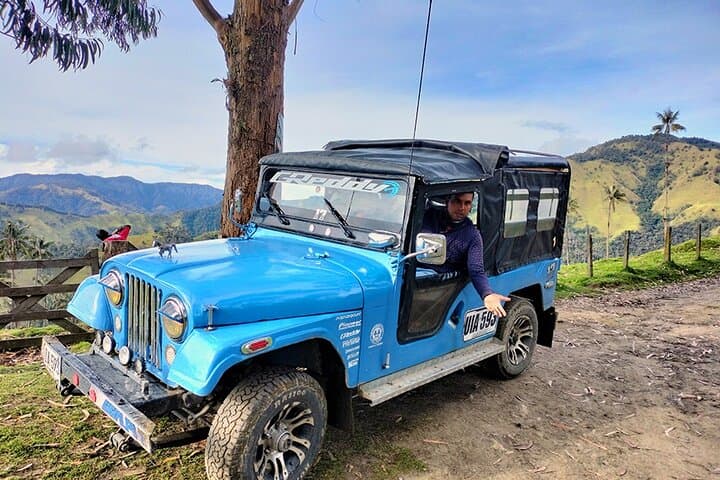 La Carbonera Wax Palm Sanctuary: Salento’s High-Andean Forest Tour photo 6