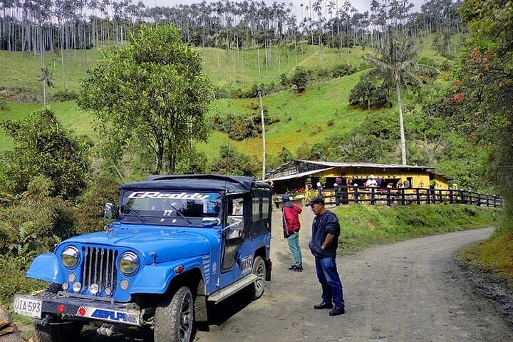 La Carbonera Wax Palm Sanctuary: Salento’s High-Andean Forest Tour photo 4