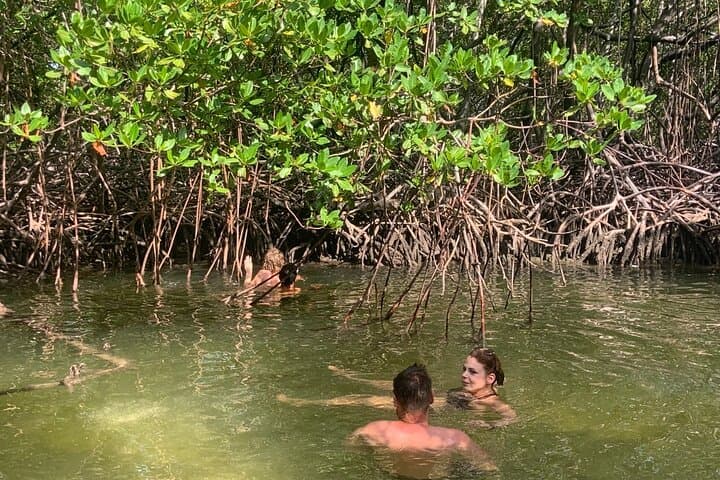 Full-Day Paradise Island Snorkel from Punta Rucia to Cayo Arena photo 2