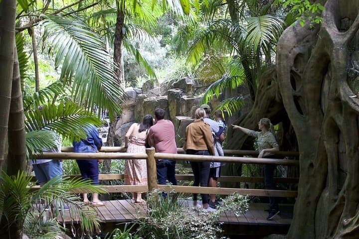 Tamborine Mountain Glow Worm Tour & Scenic Rim Hop-On Hop-Off Day Trip
