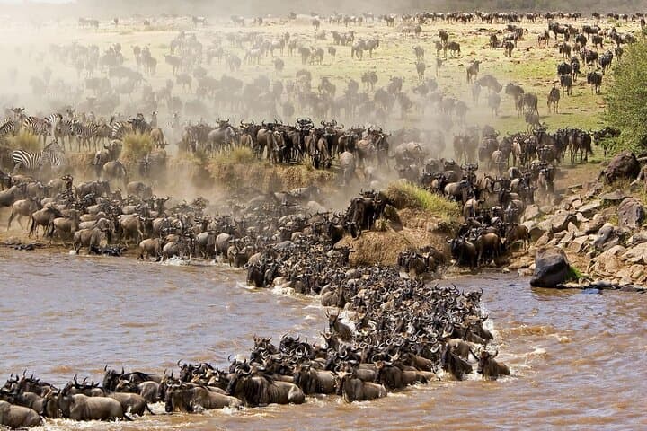 Witness the Wildebeest Migration: 4-Day Masai Mara & Rift Valley Adventure photo 3