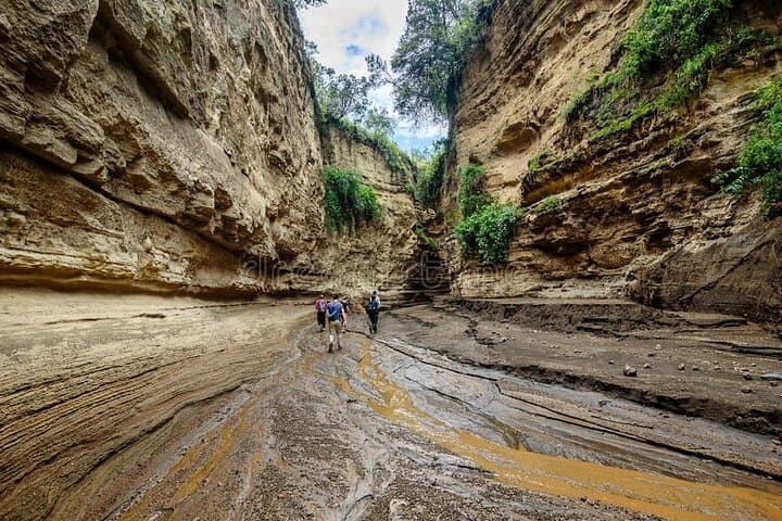 Witness the Wildebeest Migration: 4-Day Masai Mara & Rift Valley Adventure photo 6