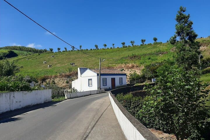 Moinho do Félix Waterfalls Hike and Europe’s Tea Plantation — São Miguel Half-Day photo 2