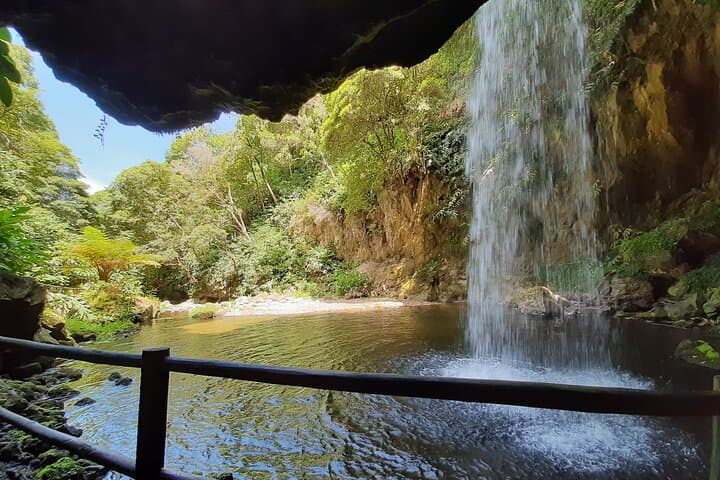 Moinho do Félix Waterfalls Hike and Europe’s Tea Plantation — São Miguel Half-Day