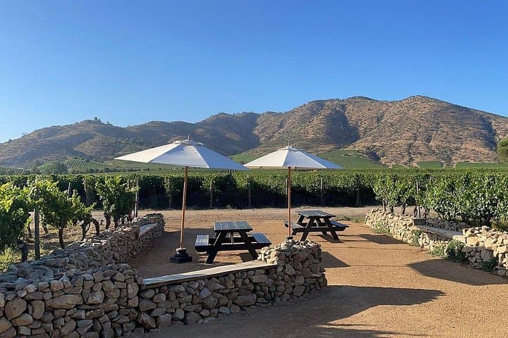 Private Boutique Wine Tasting at Encierra Vineyard Near Santiago photo 2