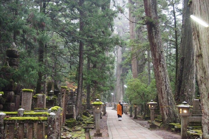 Koyasan Half-Day Private Tour: Okunoin, Kongobuji & Garan photo 2