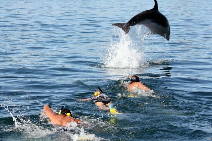 Side Dolphin Island Boat Trip: Swim with Dolphins, Lunch & Coastal Sights photo 4