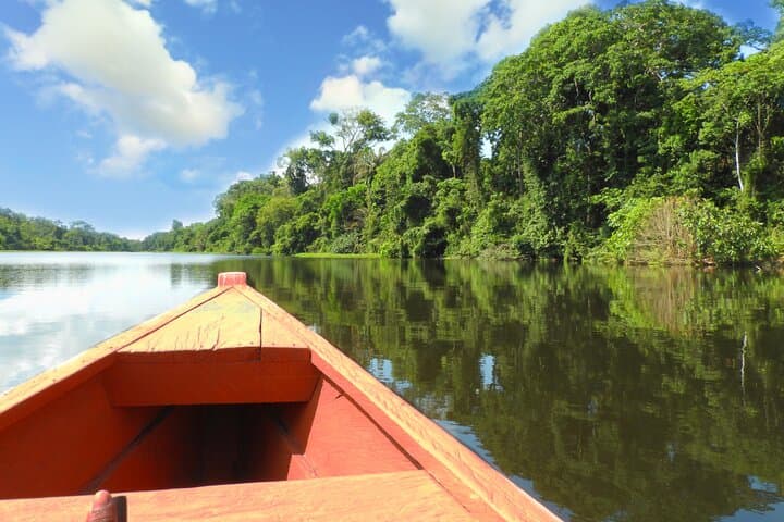 Amazon Eco Treehouse Stay: 4-Day Leticia Jungle Immersion photo 4