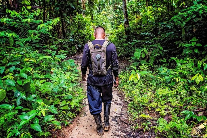 Amazon Eco Treehouse Stay: 4-Day Leticia Jungle Immersion photo 5