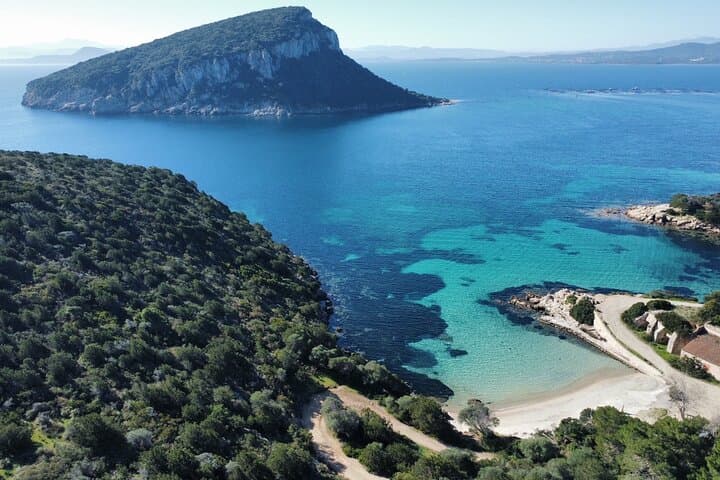Private RIB Tour Costa Smeralda — Dolphins, Snorkel & Wine Tasting