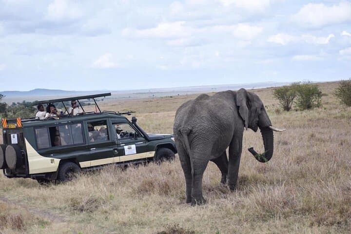 6-Day Nairobi to Amboseli & Maasai Mara Private Semi-Luxury Safari photo 2