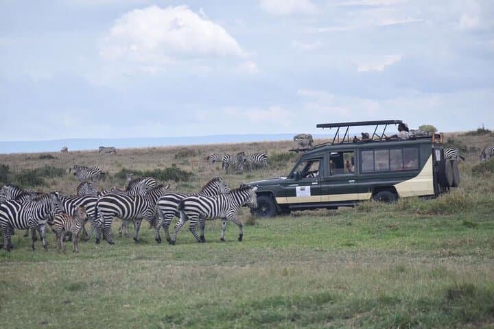 6-Day Nairobi to Amboseli & Maasai Mara Private Semi-Luxury Safari photo 3
