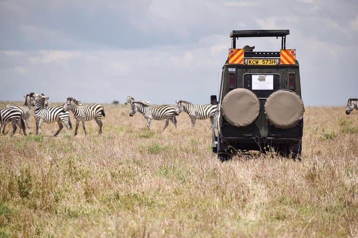 6-Day Nairobi to Amboseli & Maasai Mara Private Semi-Luxury Safari photo 4