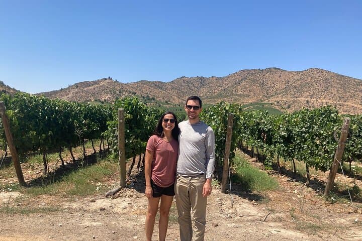 Private Moment Premium Vineyard Tasting Near Santiago, Chile