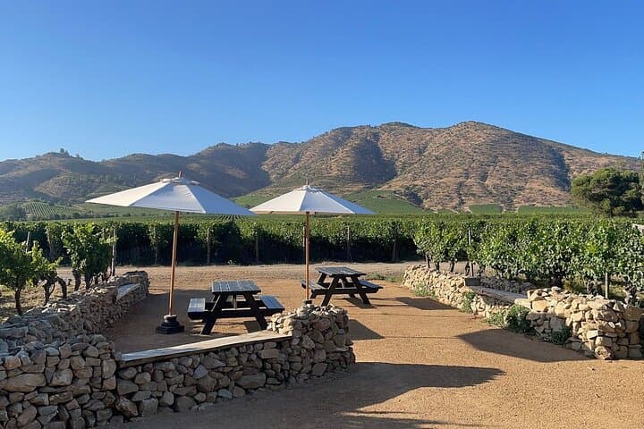 Private Moment Premium Vineyard Tasting Near Santiago, Chile photo 5