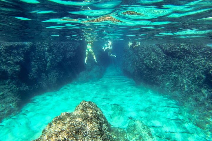 Blue Cave, Green Caves & Šunj Beach Speedboat Tour from Dubrovnik photo 5