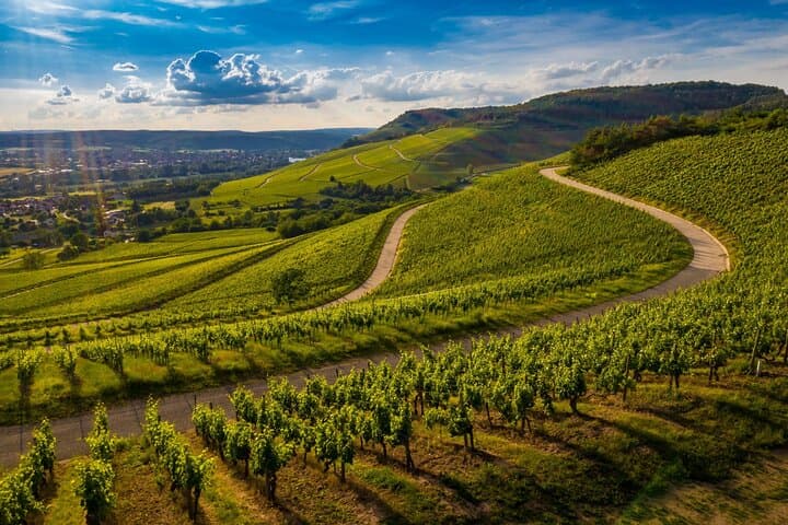 Cycle the Chianti Classico: 4-Hour Guided Bike Tour from Siena