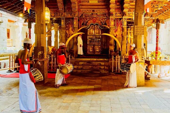 Kandy Private Day Tour from Colombo: Temple, Tea Gardens & Udawatta Kele photo 5