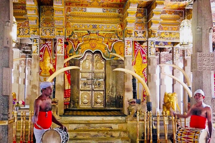 Kandy Private Day Tour from Colombo: Temple, Tea Gardens & Udawatta Kele photo 6