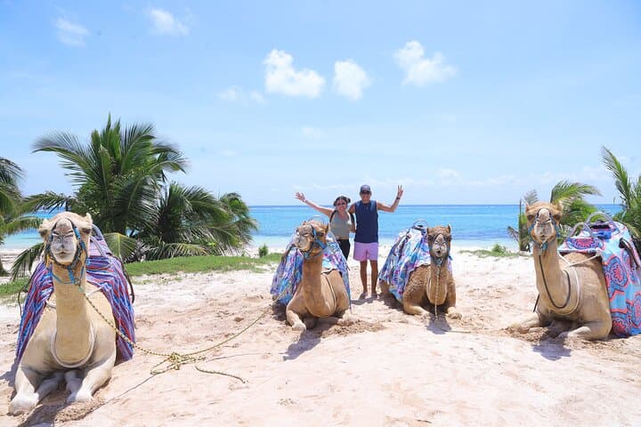 Camel Safari in Puerto Morelos: Jungle-to-Beach Ride with Beach Club Access photo 4