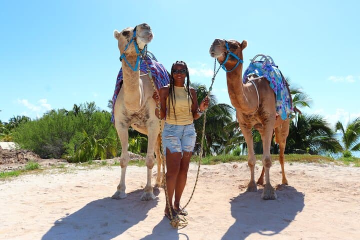 Camel Safari in Puerto Morelos: Jungle-to-Beach Ride with Beach Club Access photo 5