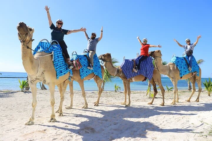 Camel Safari in Puerto Morelos: Jungle-to-Beach Ride with Beach Club Access photo 2