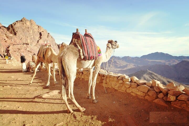 Sunrise on Mount Sinai: Night Coach, Camel Path and St. Catherine Monastery photo 2