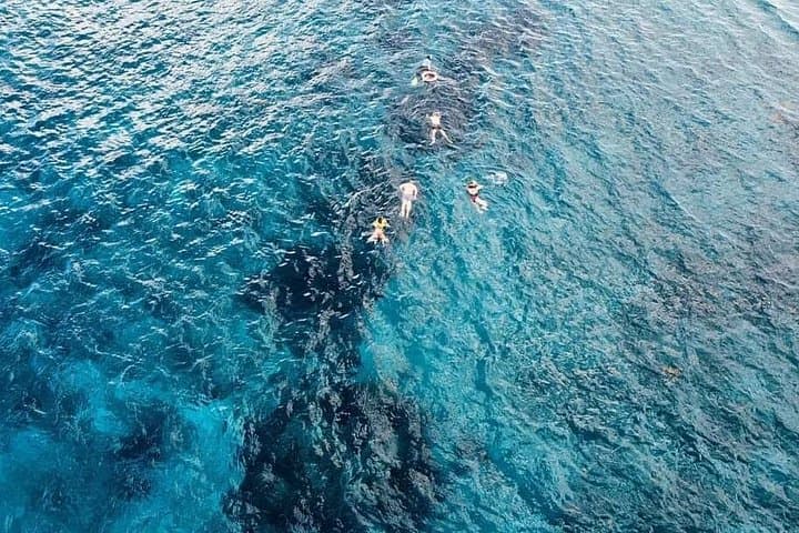 Chivis del Mar: Private Glass-Bottom & Snorkel Tour to El Cielo and Palancar, Cozumel photo 3