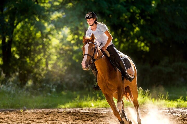 Side Horse Riding: 2-Hour Beach and Pine-Forest Safari in Turkey photo 6