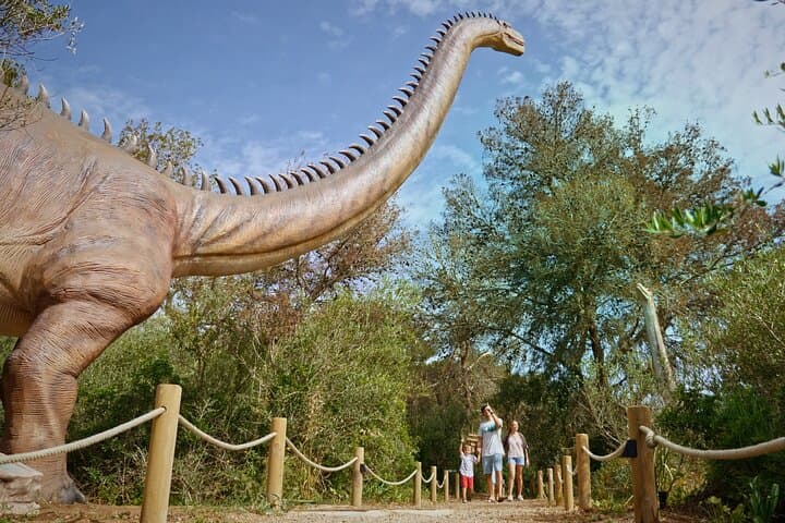 Half-Day Tour to Dinosaurland and Cuevas de Hams, Mallorca — Family-Friendly Adventure photo 2