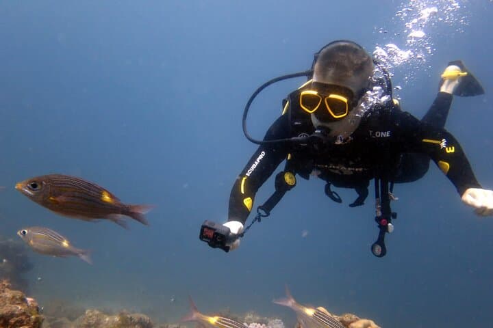 Discover Scuba Diving in Blue Bay — Beginner PADI Sea Dive in Mauritius photo 4