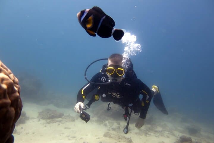 Discover Scuba Diving in Blue Bay — Beginner PADI Sea Dive in Mauritius photo 6