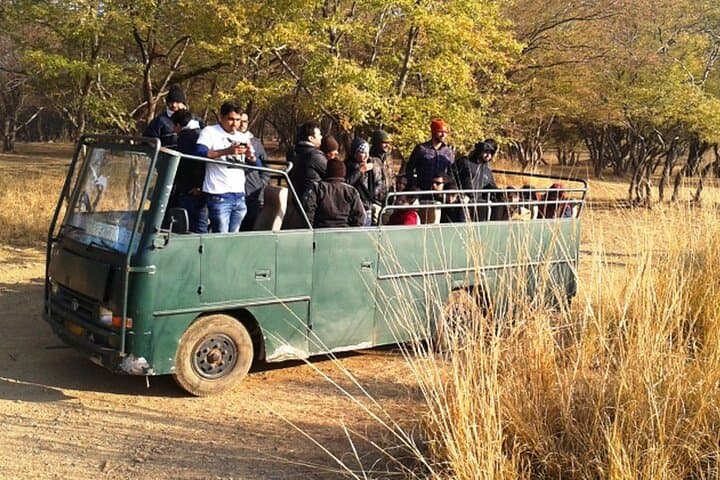 Ranthambore Tiger Safari: Private Day Trip from Jaipur photo 6