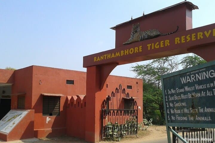 Ranthambore Tiger Safari: Private Day Trip from Jaipur photo 2
