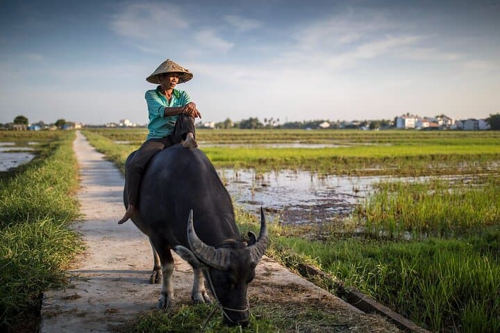 Hoi An Private Cooking Class, Lantern Workshop & Bicycle Tour — Full-Day Cultural Ride photo 5