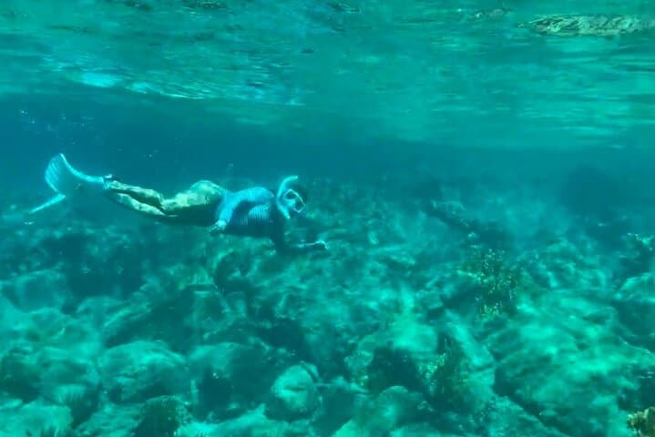 Private Multi‑Beach Snorkel Tour Tortola — Secret Beaches & Octopus Garden photo 5