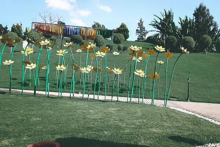 Unity Park Half-Day Tour: Explore Addis Ababa’s Grand Palace Gardens and History photo 5