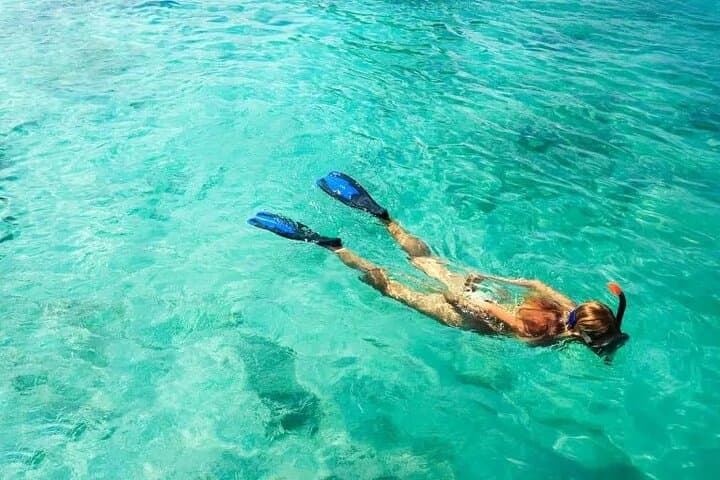 Snorkel Fort Lauderdale’s Jean Cousteau Shipwreck Trail: Shallow Reefs & Marine Life