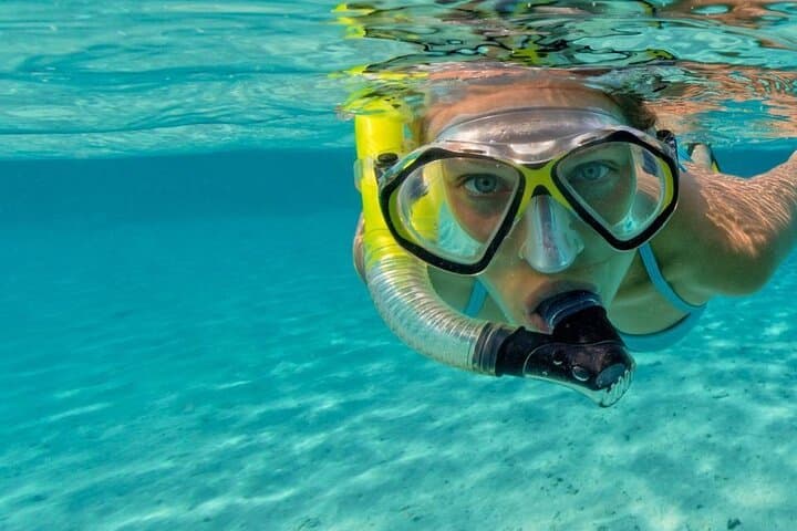 Snorkel Fort Lauderdale’s Jean Cousteau Shipwreck Trail: Shallow Reefs & Marine Life photo 3