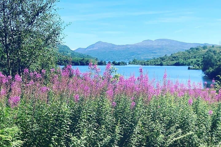 Half-Day Loch Katrine eBike Explorer — Guided Ride from Trossachs Pier photo 6