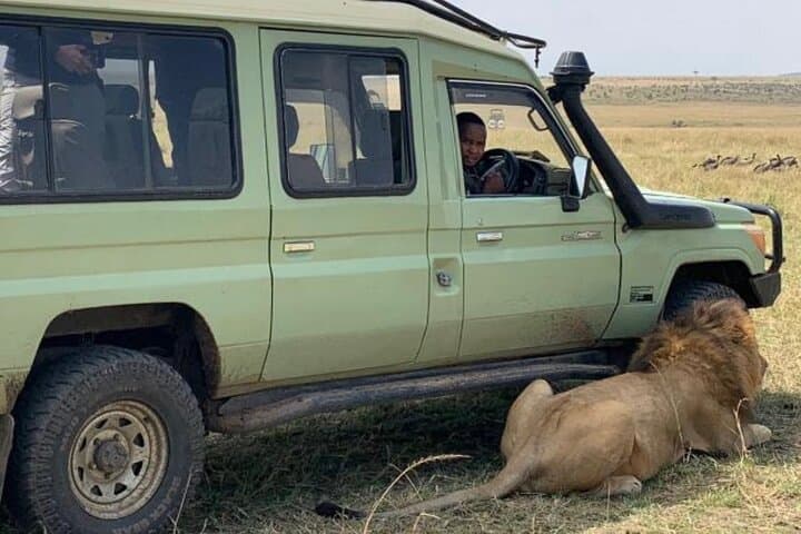 Discover Nairobi’s Unique Urban Safari: National Park, Giraffe Center & Karen Blixen Museum