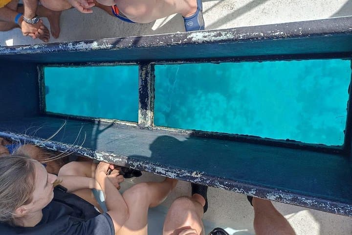 Chivis del Mar: Private Glass-Bottom & Snorkel Tour to El Cielo and Palancar, Cozumel photo 2