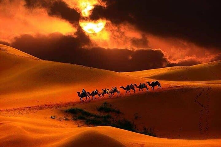 7-Day Central Mongolia & Great Gobi: Karakorum, Dunes and Orkhon Waterfall photo 6