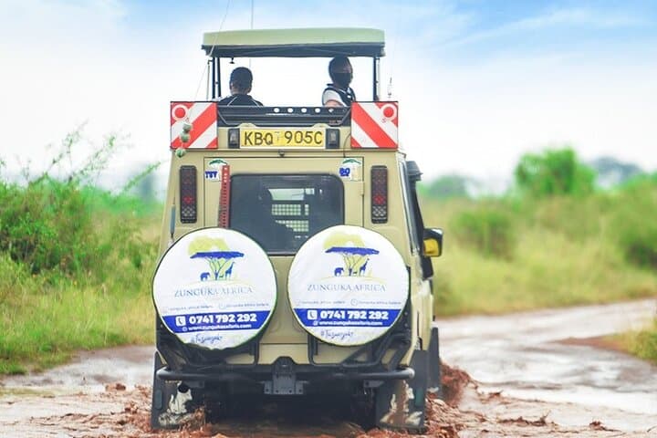 3-Day Maasai Mara Safari: Big Five Game Drives & Migration Highlights photo 5