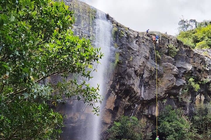Waterfall Hike near Trou d'Eau Douce — Swim, Jump and Fish-Massage in Mauritius photo 4