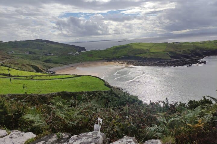 Luxury Full-Day Inishowen Tour from Derry to Malin Head photo 5