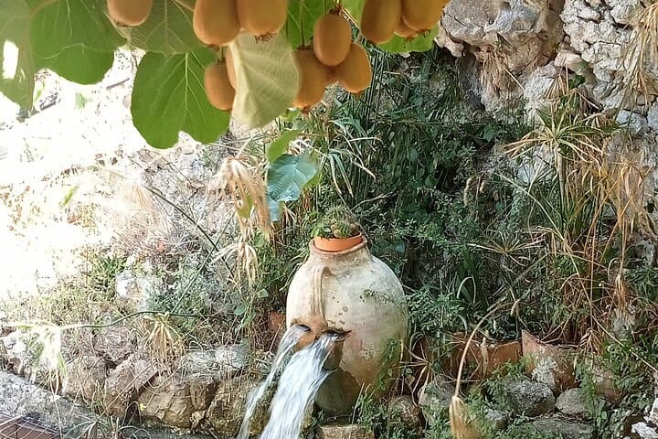 Cutting Sicily: Malabotta Off‑Road Day Tour from Taormina to Novara di Sicilia photo 3