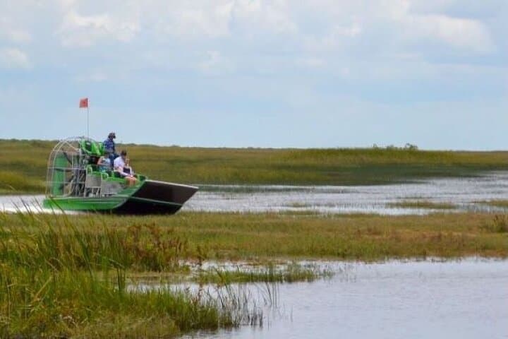 Miami Everglades 60-Minute Private Airboat Tour — Wildlife & Wetland Adventure photo 5