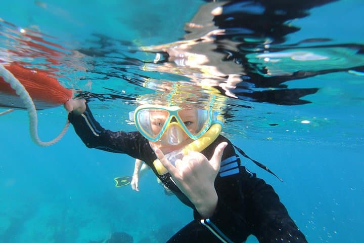 Mobula Ray Ocean Safari to Cerralvo Island — Swim with Massive Ray Squadrons (April–June) photo 3
